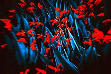 12999元的RTX 4090显卡解禁：CPU已成性能瓶颈