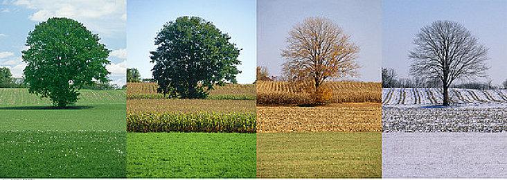 绑架模拟游戏《Life Eater》Steam页面上线 暂不支持简体中文